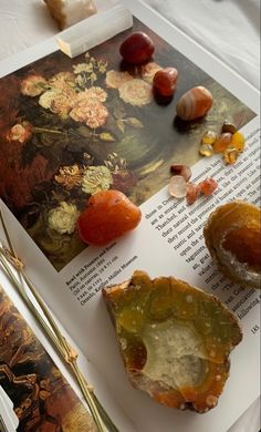 an open book sitting on top of a table filled with different types of rocks and other items