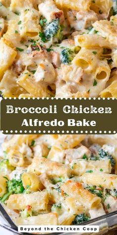 broccoli chicken alfredo bake in a glass casserole dish with text overlay