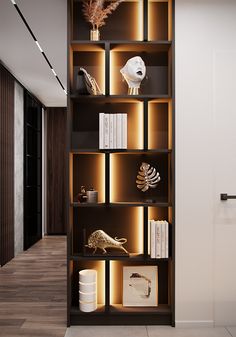 a bookshelf filled with lots of different items