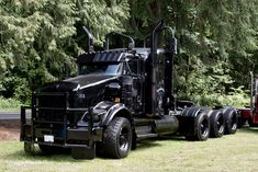 a large semi truck parked on top of a lush green field next to a forest