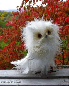 a white stuffed owl sitting on top of a wooden table next to red bushes and trees