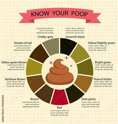 Human Stool Color Meaning. There are any references about Human Stool Color Meaning in here. you can look below. I hope this article about Human Stool Color Meaning can be useful for you. Please remember that this article is for reference purposes only. #human #stool #color #meaning Stool Color Chart, Stool Chart, Newborn Schedule, Shingle Colors, Color Meanings, Rustic Colors, Tan Color, Color Chart