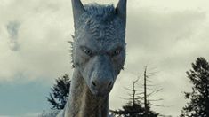 a close up of an animal with trees in the background and clouds in the sky