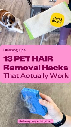 a person holding a blue sponge next to a dog on the floor with text overlay that reads cleaning tips 13 pet hair removal hacks that actually work