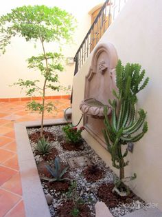 there is a small garden in the corner of this house with cactus and succulents