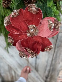 a person holding two red flowers in front of pine cones and evergreen branches with gold sequins on them