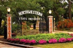 a sign that says north western state university surrounded by flowers