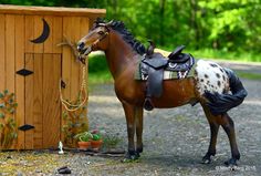 a toy horse standing next to a wooden fence