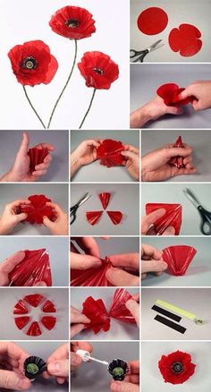 how to make poppies out of tissue paper - step by step instructions and pictures