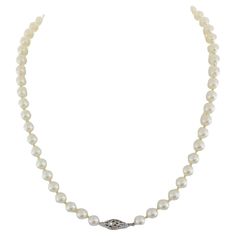 6-6.5 mm Akoya Pearl Strand Necklace 14k White Gold. The Necklace weighs 20.3 grams, measuring 17" long, contains 57 Akoya 6-6.5 mm pearls with high luster. Elegant Akoya Pearl Beaded Necklace, Elegant Beaded Akoya Pearl Necklace, White Pear-shaped Akoya Pearl Necklace, Luxury Beaded Akoya Pearl Necklace, White Akoya Pearl Necklace - Fine Jewelry, Pearl Strands Necklace, Pearl Strand, Pearl Strands, Akoya Pearls