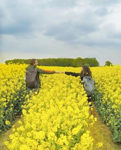 two people holding hands in a field of yellow flowers