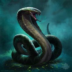 a snake with its mouth open in the dark