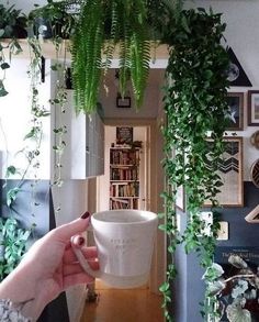 a person holding a coffee cup in front of a wall with plants growing on it