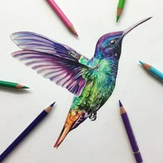 a drawing of a hummingbird surrounded by colored pencils