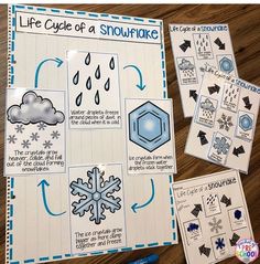 the life cycle of a snowflake is shown in blue and white paper on a wooden table