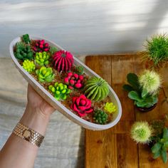 a person holding up a planter with succulents in it on a table