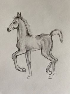 a pencil drawing of a horse running