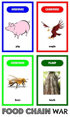 Food Chain War - free printable card game Grade 3 Science, Third Grade Science