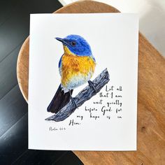 a blue and yellow bird sitting on top of a wooden table next to a piece of paper