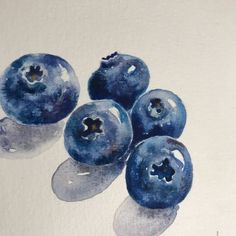 a painting of blueberries on a white background