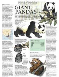 an article in the world of wonder about giant pandas