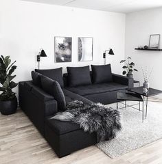 a living room filled with black furniture and lots of plants on top of a hard wood floor