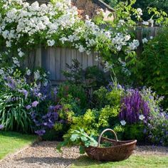 a garden filled with lots of flowers next to a wooden fence covered in white and purple flowers