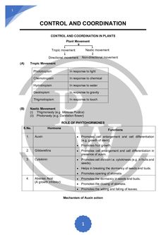 the control and coordination manual is shown in this document, which contains instructions for how to use