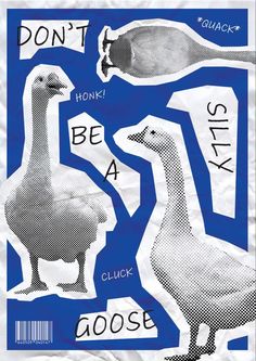 an image of two geese with the words don't be a silly goose on them