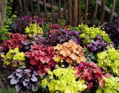 many different colored flowers in a garden next to a fence