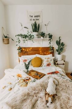 a dog laying on top of a bed next to plants