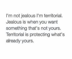 the text that says, i'm not jeallous i'm territorial