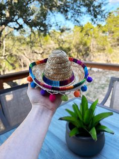 a person holding a straw hat on top of a table next to a potted plant