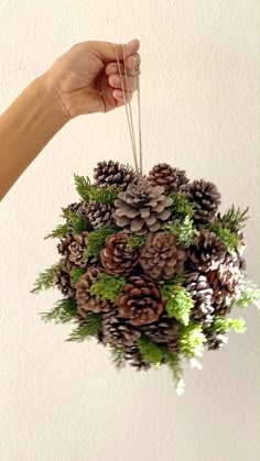 a person is holding a pine cone ornament with greenery and cones on it