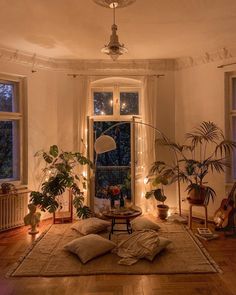 a living room filled with lots of plants and lights