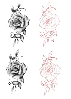 three roses with leaves on each side and one flower on the other, all in different colors