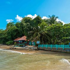 the beach is lined with trees and houses