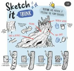 an image of a drawing of a tree trunk with instructions on how to cut it