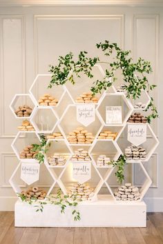 a white shelving unit filled with lots of donuts and cupcakes next to a green plant