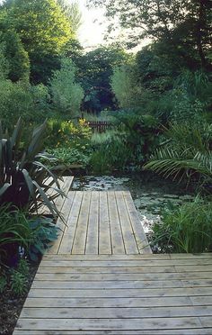 there is a wooden walkway that leads to a pond in the middle of some plants