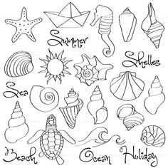 coloring pages for summer with sea shells and seashells on white background stock photo