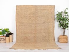 a large rug is on the floor next to some potted plants and a planter