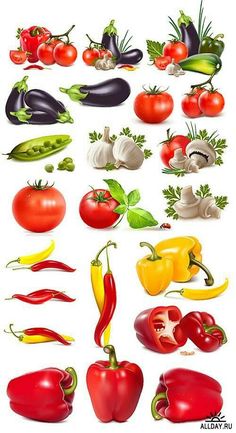 a bunch of different types of vegetables on a white background, including peppers, tomatoes, and eggplant