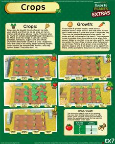 an info sheet showing how to grow crops