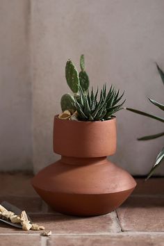 a potted plant sitting on top of a table next to a pair of scissors