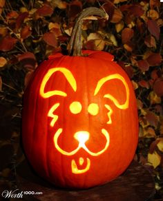 a pumpkin carved to look like a dog's face