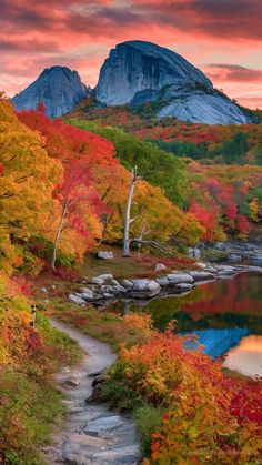 an autumn scene with colorful trees and rocks in the foreground, as the sun sets