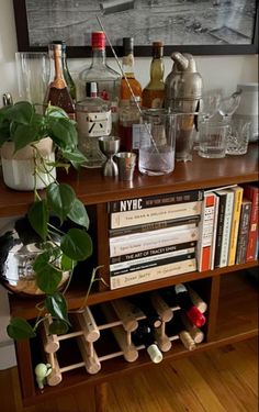 a wooden shelf filled with lots of bottles and glasses next to a potted plant