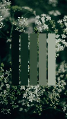 some white flowers and green bars are in the middle of this photo with dark background