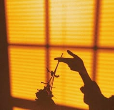 the shadow of a person holding a flower in front of a window with yellow blinds